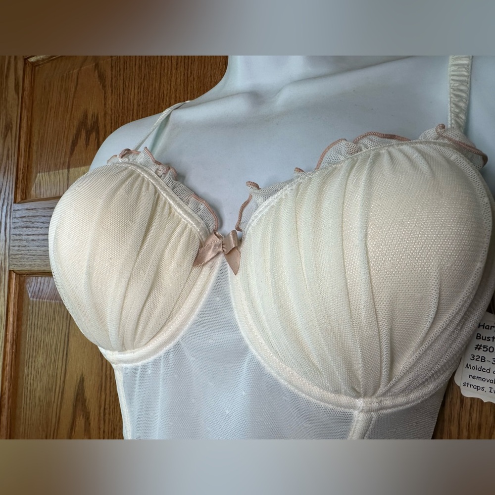 NWT Bustier. Essential Bodywear Harper *htf*. Sexy!